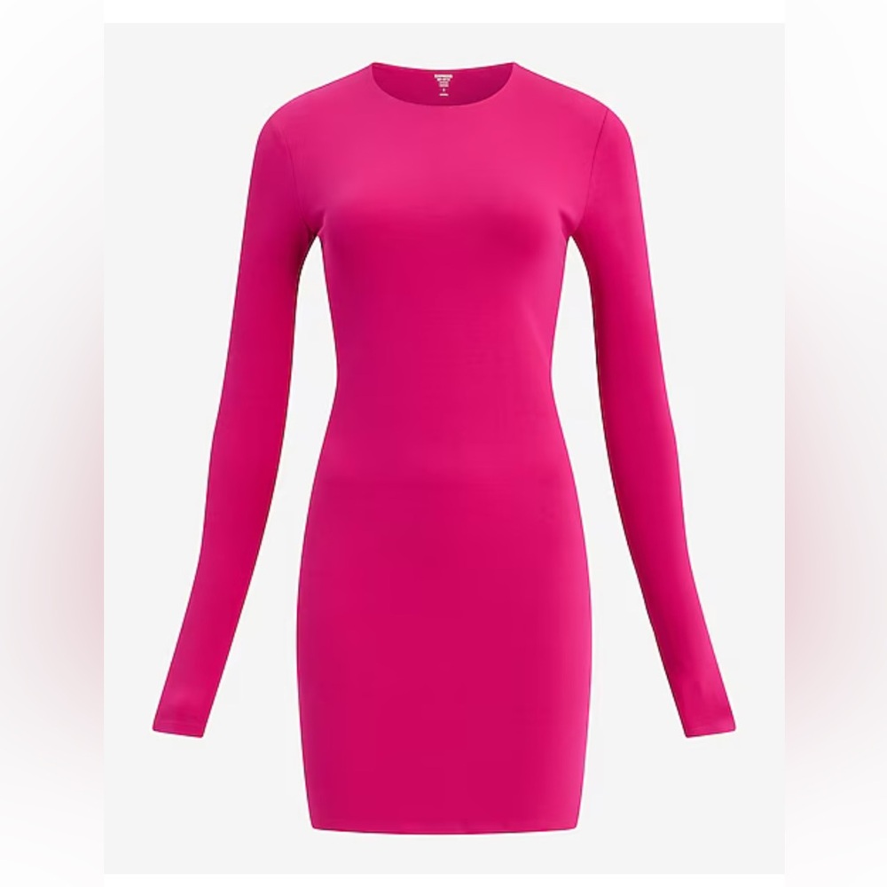 Express Crew Neck Long Sleeve Mini Knit Dress